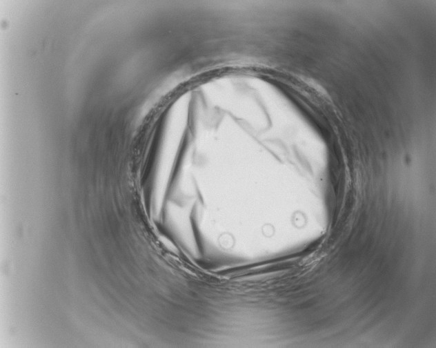 X0000054421263200508262313