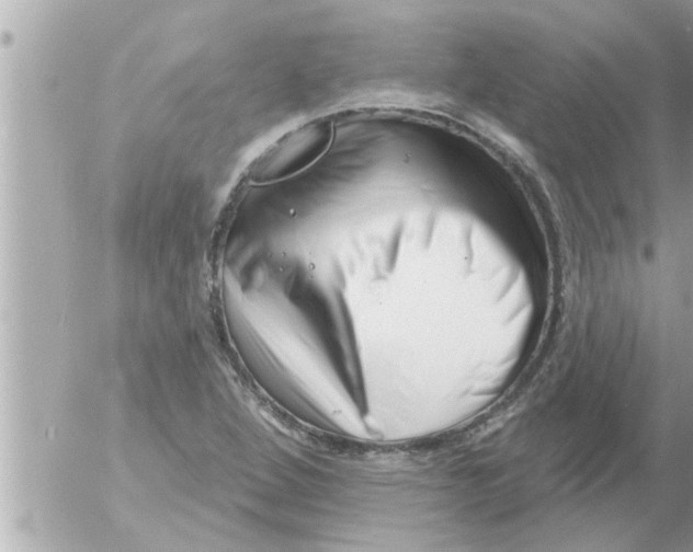 X0000054421264200508262313