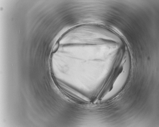 X0000054421291200508262312