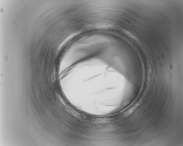 X0000054421306200508262312