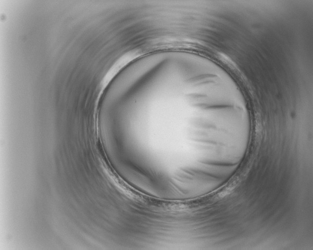 X0000054421370200508262311