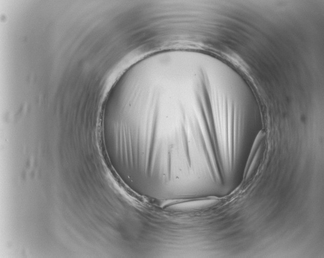 X0000054421379200508262311