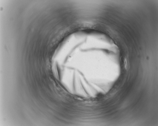 X0000054421395200508262310