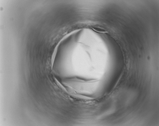 X0000054421397200508262310