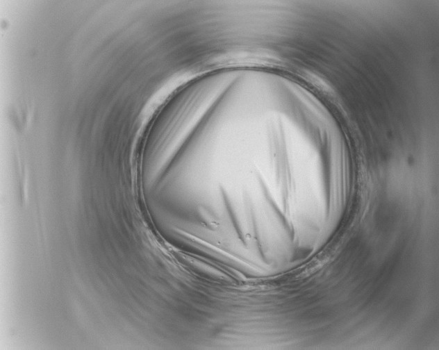 X0000054421419200508262310