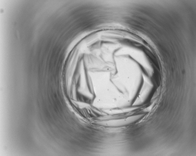 X0000054421440200508262311