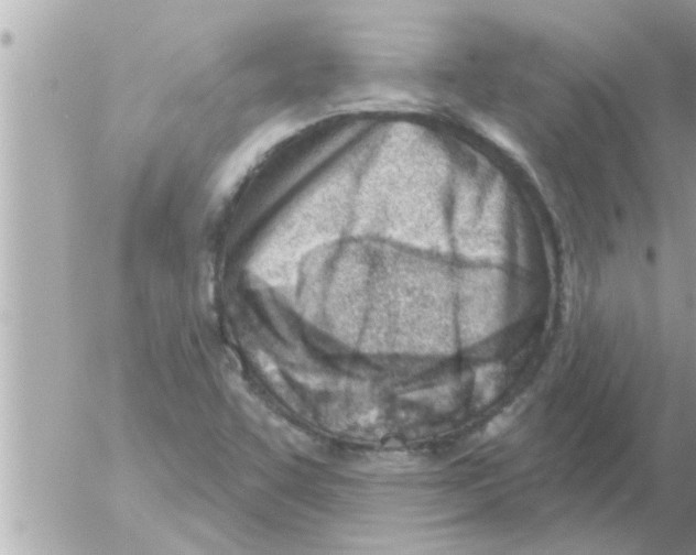X0000054421455200508262310