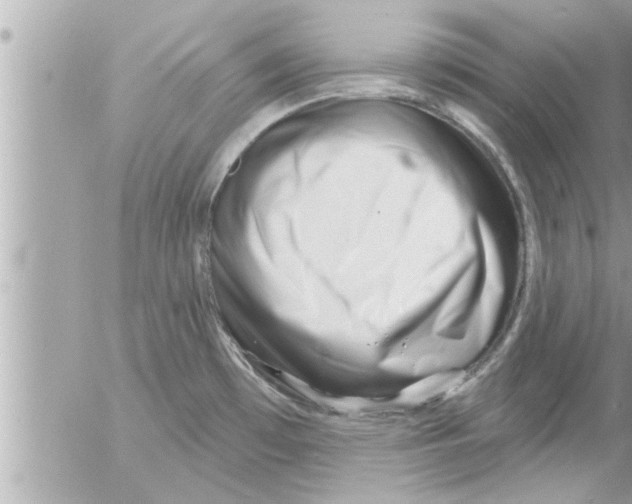 X0000054421481200508262309