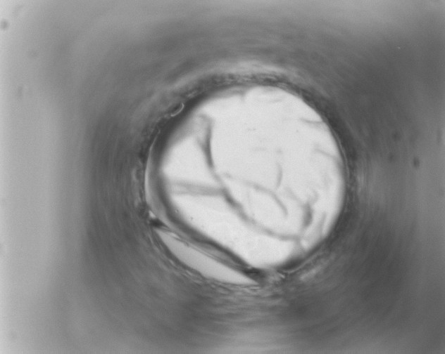 X0000054421493200508262308