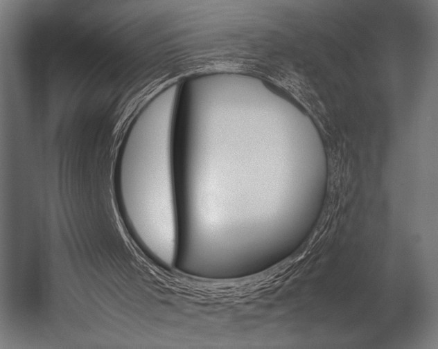 X0000054430001200507291004