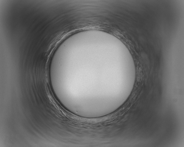 X0000054430002200507291004
