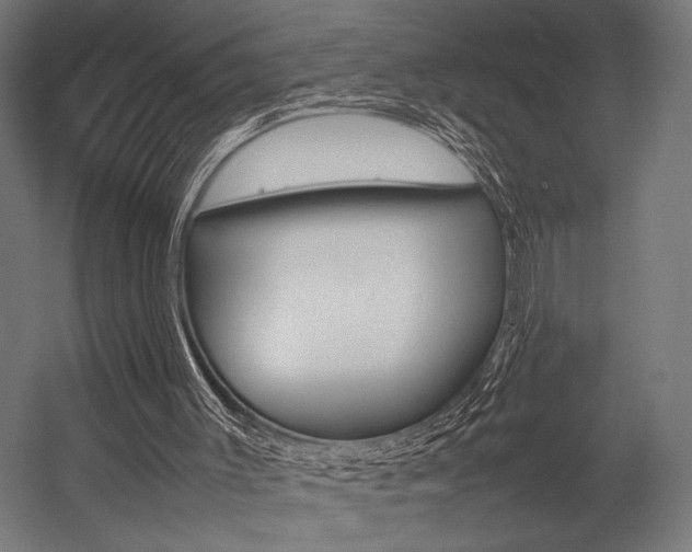 X0000054430003200507291004