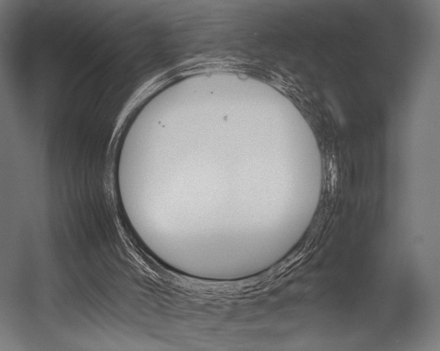 X0000054430004200507291004
