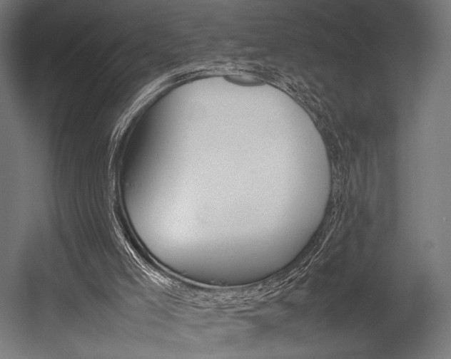 X0000054430005200507291004