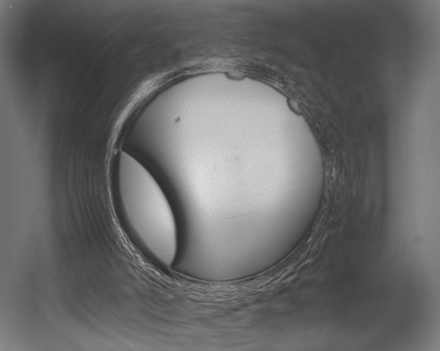 X0000054430006200507291004