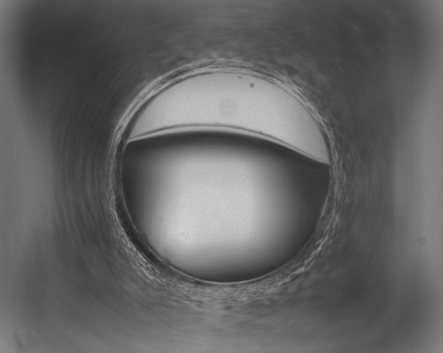 X0000054430007200507291004