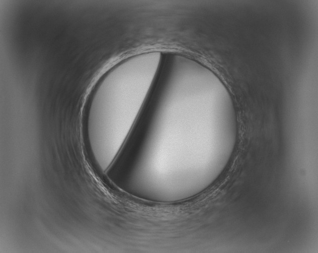 X0000054430008200507291004