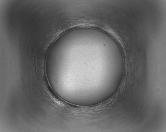 X0000054430009200507291004