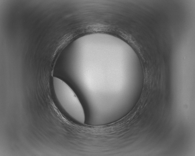 X0000054430010200507291004