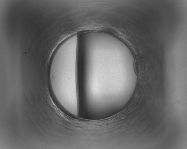 X0000054430011200507291004