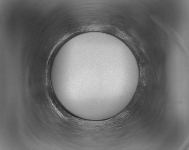 X0000054430012200507291004