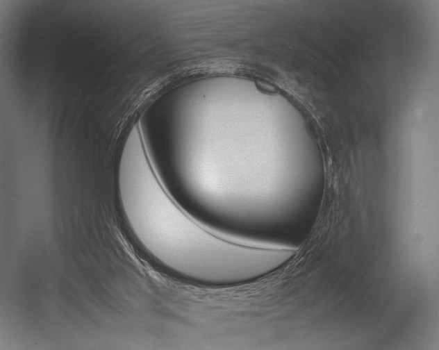 X0000054430013200507291004