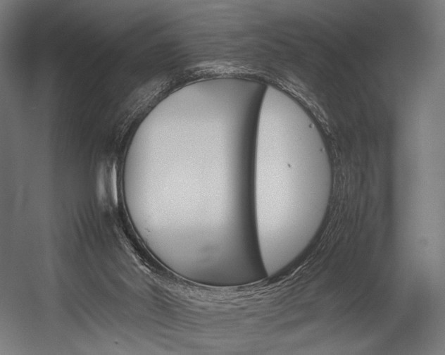 X0000054430014200507291004