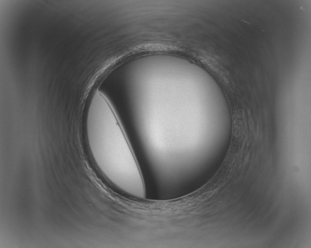 X0000054430015200507291004