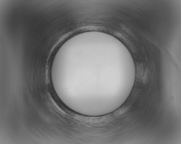 X0000054430016200507291004