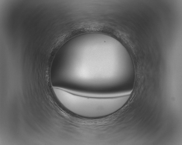 X0000054430017200507291004