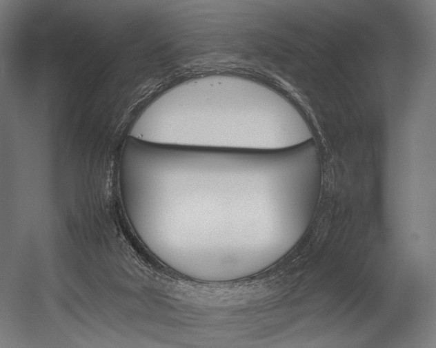 X0000054430018200507291004
