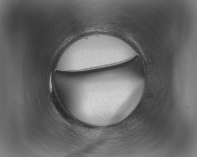X0000054430020200507291004