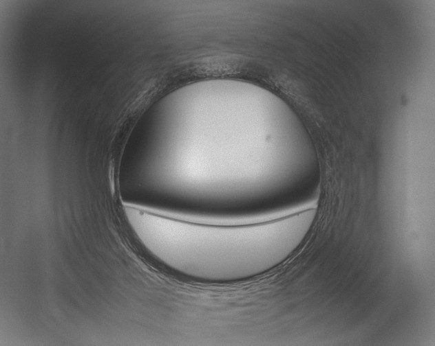 X0000054430021200507291004