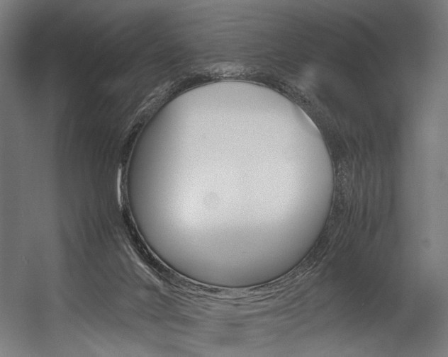 X0000054430024200507291004