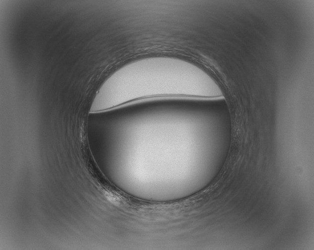 X0000054430025200507291003