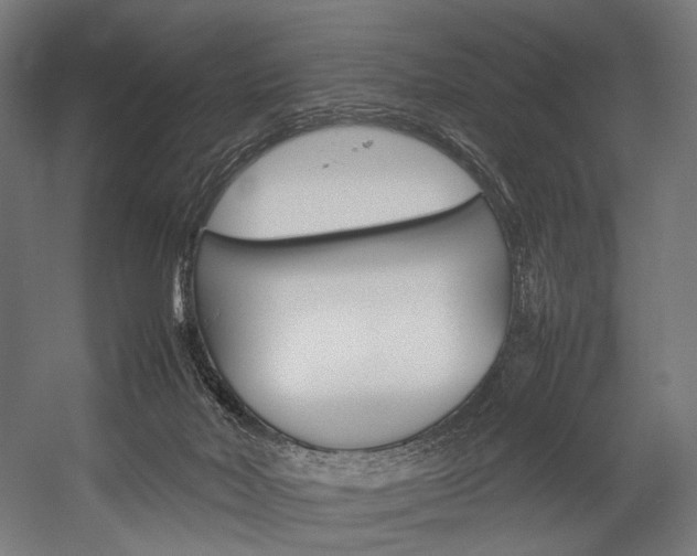 X0000054430026200507291003