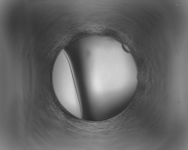 X0000054430027200507291003