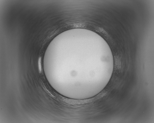 X0000054430028200507291003