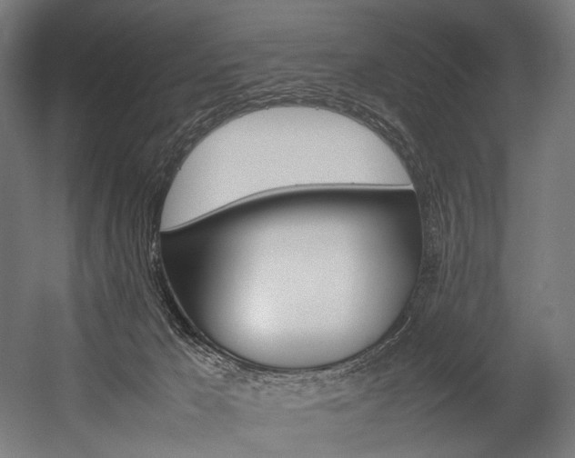 X0000054430029200507291003