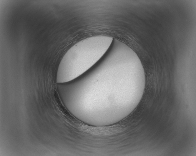 X0000054430030200507291003