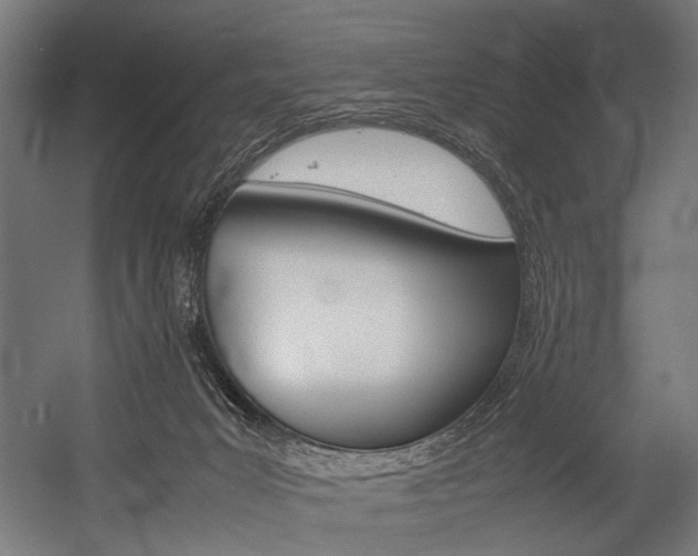 X0000054430031200507291003