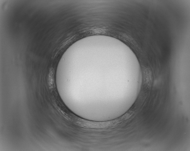 X0000054430032200507291003