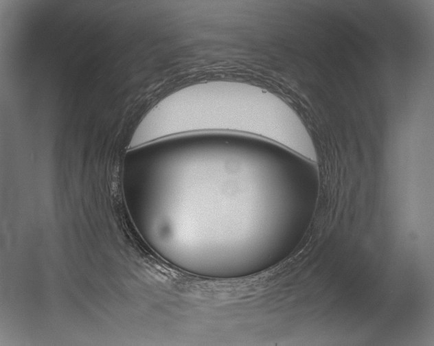 X0000054430033200507291003