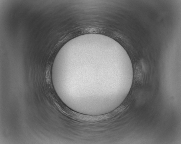 X0000054430036200507291003
