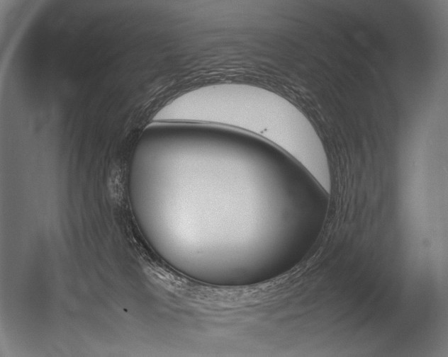 X0000054430037200507291003