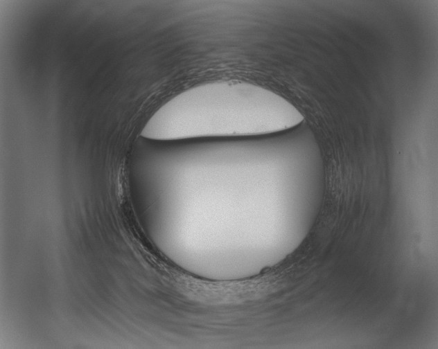 X0000054430038200507291003