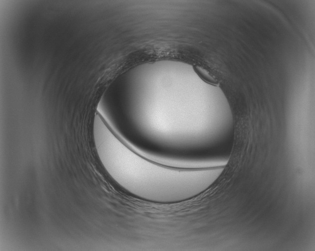 X0000054430039200507291003