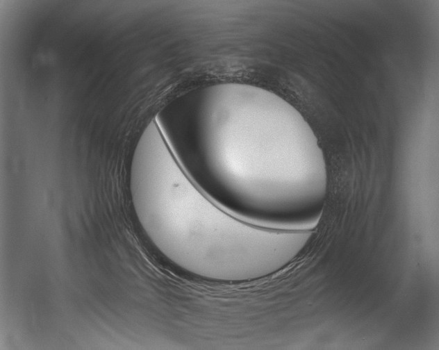 X0000054430040200507291003