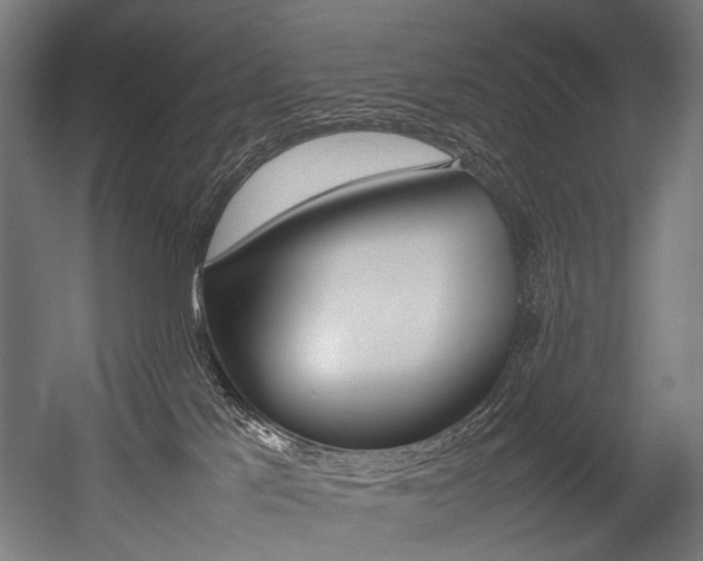 X0000054430041200507291003