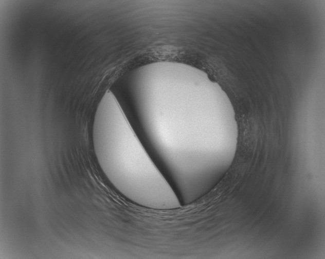 X0000054430042200507291003